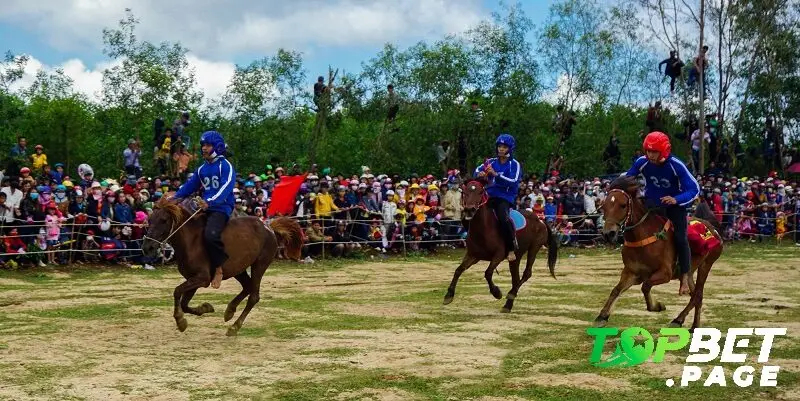 Giới thiệu tổng quan về đua ngựa Gò Thì Thùng