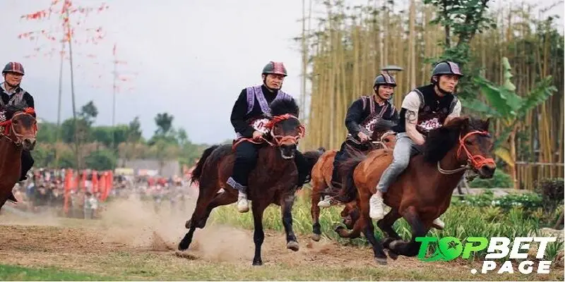 Giới thiệu tổng quan về đua ngựa Shanrila Mường Lò