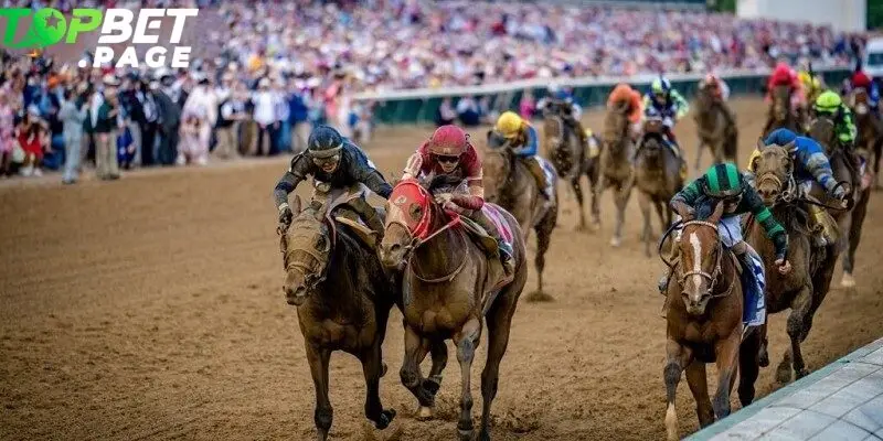 Người chơi có thể đặt cược Đua ngựa Kentucky Derby một cách dễ dàng tại Topbet